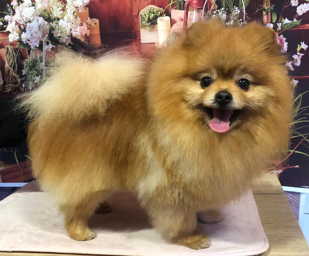 Z Tolstejnskeho panstvi