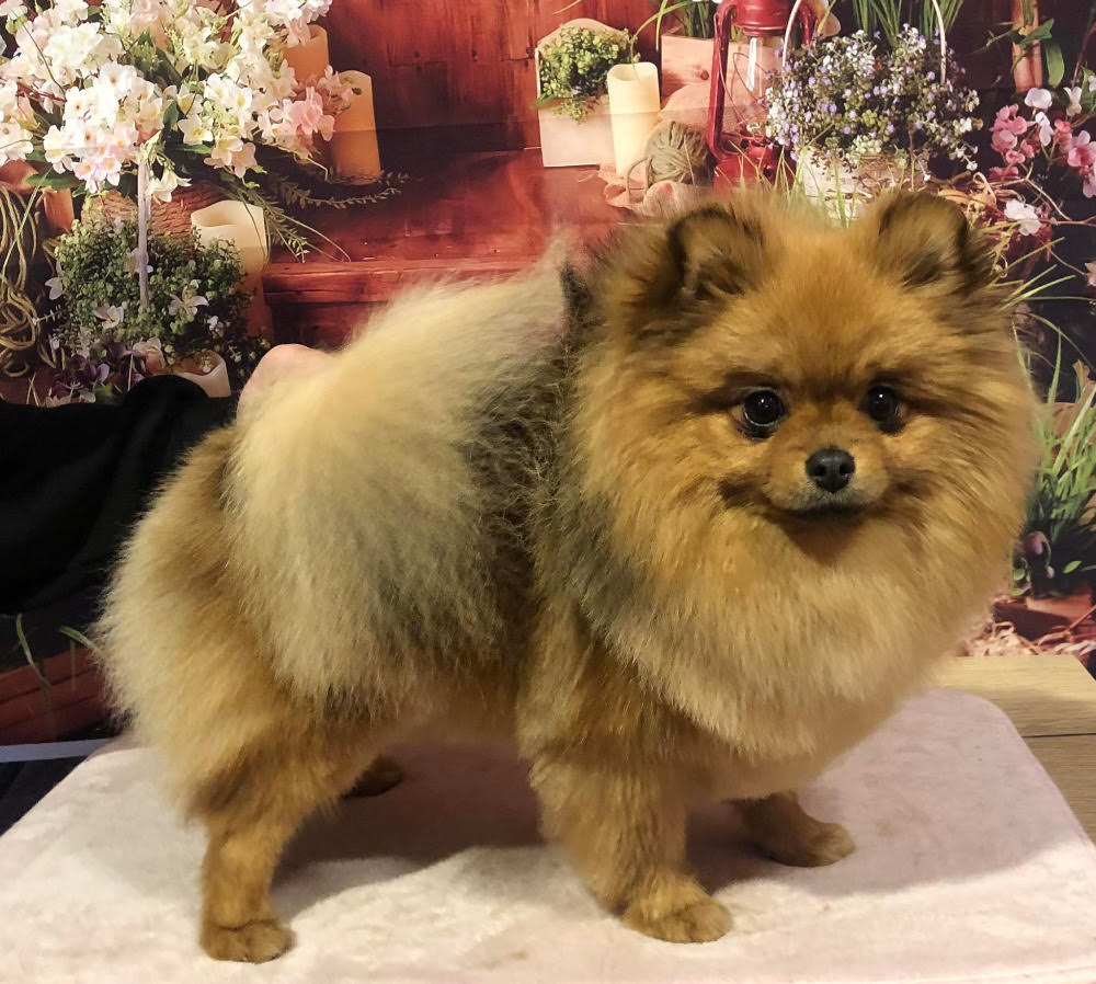 Z Tolstejnskeho panstvi2