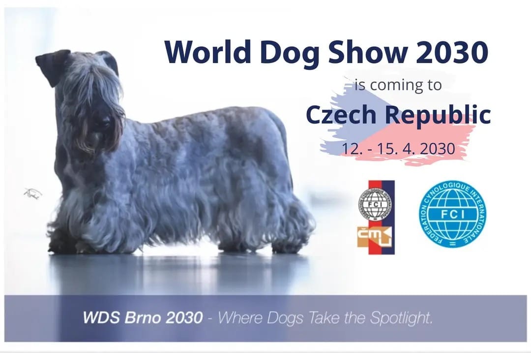WDS2030